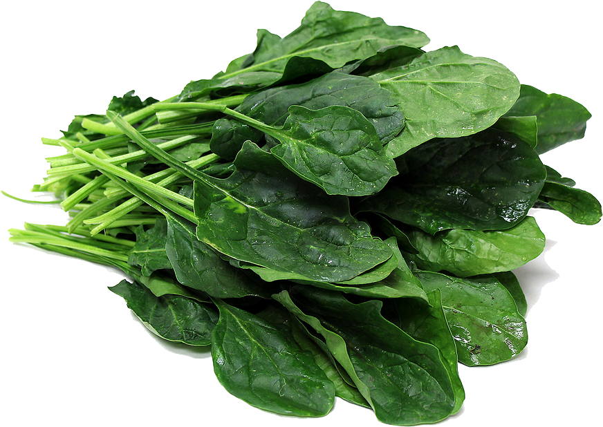 spinach_anti_aging_foods