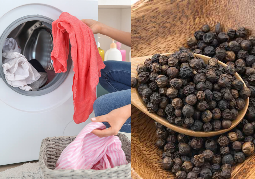 black pepper laundry or washing machine
