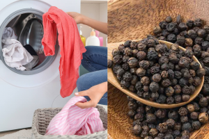 Reason Behind Using Black Pepper For Laundry Or In Washing Machine