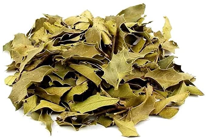 Espinheira-santa (maytenus ilicifolia) tea