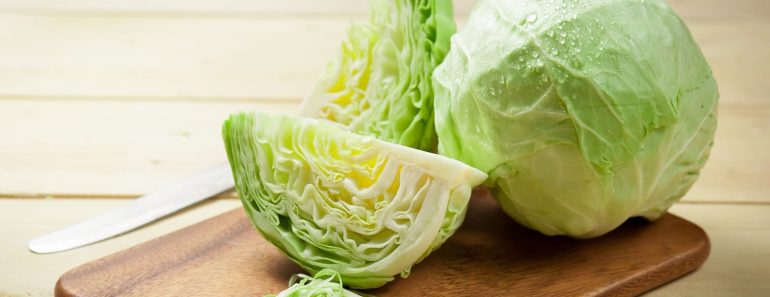 Is Cabbage good for weight loss? Cabbage and it’s benefits