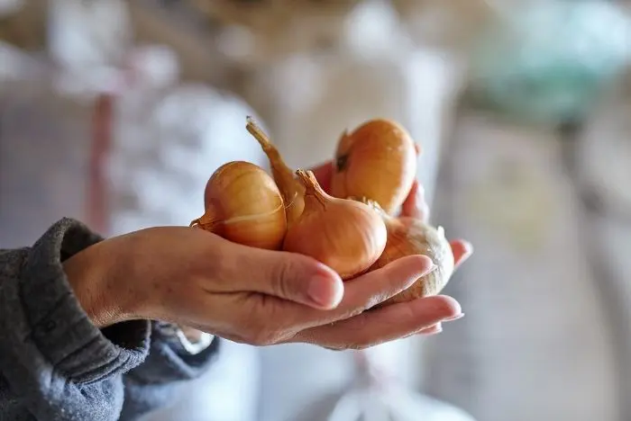 The Easy Trick to Get Rid of Onion Smell on Hands 