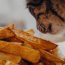 Sweet potatoes: Can Cats Eat Them? What You Need to Know 